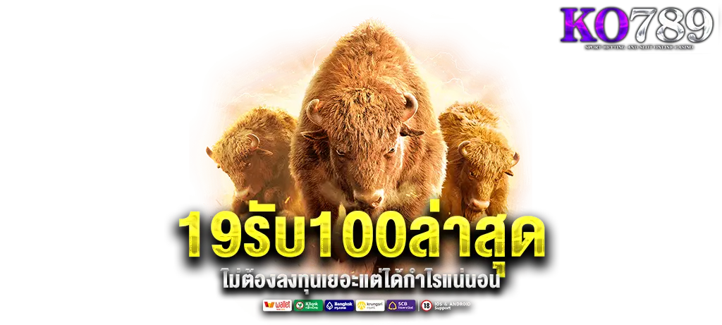 19รับ100ล่าสุด